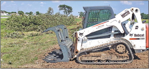 Trees removed