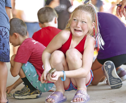 Events honor America on the Fourth of July