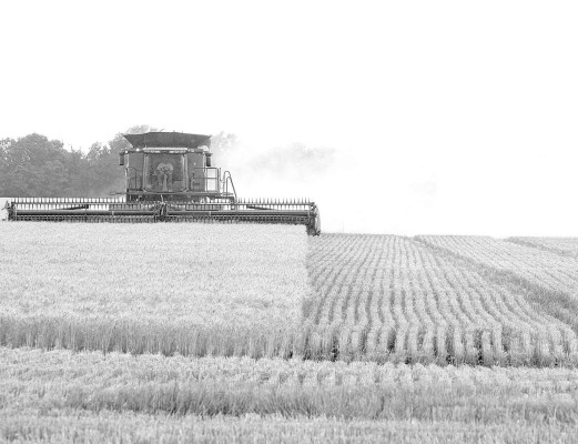 Economist Jenny Ifft expects Kansas farm income to increase in 2025, thanks in part to one-time government payments. File photo