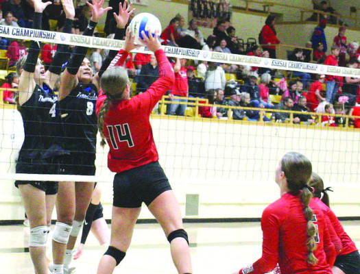 Lindsey Coleman sets the ball during one of the Argonia Raiders’ matches at last weekend’s Class 1A-Div. II State volleyball tournament. The Raiders finished in fourth place. Sarah Vineyard/Contributed photo