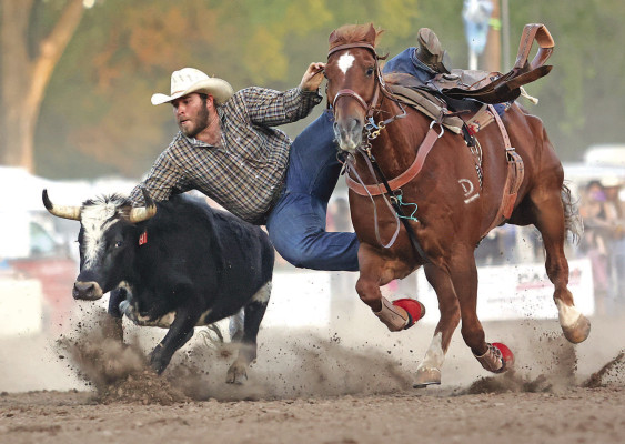 Brad Ralph transfers off his horse during the steer wrestling competition at the Haysville Saddle Club PRCA rodeo on Saturday night. Rodeo action was held on both Friday and Saturday. Ralph hails from Wann, Okla. Turn to Page A10 for additional photos. Subscribers can see a full gallery of photographs online at tsnews.com. Stephanie McKennon/TSnews