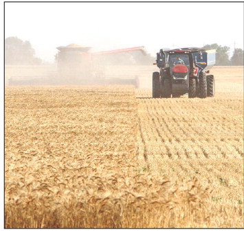 A combine and grain truck roll through a field near the Sedgwick-Sumner county line last week. Drier weather finally allowed the wheat harvest to get going in earnest, although weekend rains once again challenged local farmers. Do you have a photo from this year’s harvest? Send it to news@tsnews.com, and we will share as many photos as we can in next week’s newspaper. Travis Mounts/TSnews