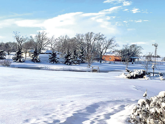 It was a winter wonderland
