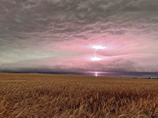 This year’s wheat harvest got off to a stormy start, with weather keeping many farmers out of their fields for up to a week. This storm photo, before harvest really got started, was taken on the morning of June 17 at the corner of 111th Street South and 119th Street West, near Clearwater. Contributed photo/Elizabeth Leddy