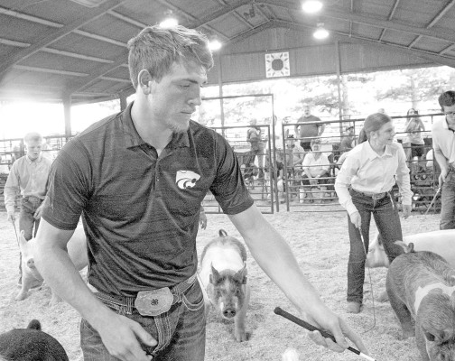 Trey Hommertzheim was the senior showmanship grand champion in swine at the 2025 Sedgwick County Fair. The Andale resident has become a mentor to younger 4-H members. Travis Mounts/TSnews