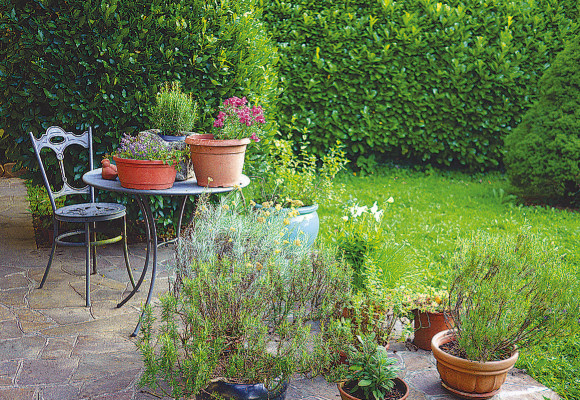 Many suburban homeowners recognize they might need to tweak their landscapes if they hope to create a private oasis outside.