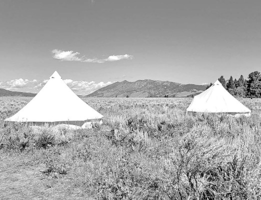 Publisher Paul Rhodes and Kim Swansen spent the last part of their recent trip to the U.S. Northern Rockies sleeping in a yurt in a rancher's cow pasture. That pasture was shared with a herd of cattle. Paul Rhodes/TSnews