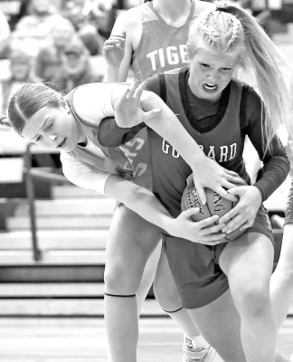 Eisenhower and Goddard faced off in a rivalry game on Feb. 10. The EHS Tigers won the night of their winter homecoming. Matt Buchar/Ginger Viking Fotos