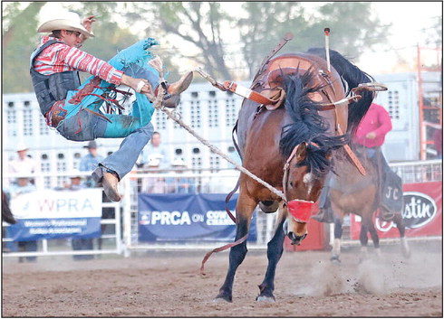 ABOVE: Jack Pittman, a rodeo cowboy from Tamworth, Australia, flies off a horse named Burnt Offering during Saturday’s saddle bronc competition. Stock for the night was from New Frontier Rodeo, and competition was in the Prairie Circuit. 
