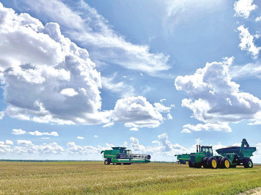 Combines sit idle in a field north of Conway Springs last week. A few farmers started cutting as early as June 7, and more began to get into their fields last week. Recent rain has further delayed some farmers, while other fields are still green. The rain likely will do little to benefit the 2023 wheat crop, but should help out fall crops that already have been planted. Travis Mounts/TSnews