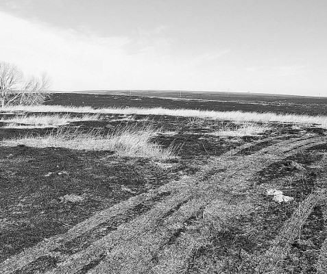 Gov. Laura Kelly signed legislation that sets up a process for Kansans to recover damages from wildfires and fires caused by electric public utility companies. Allisson Kite/Kansas Reflector