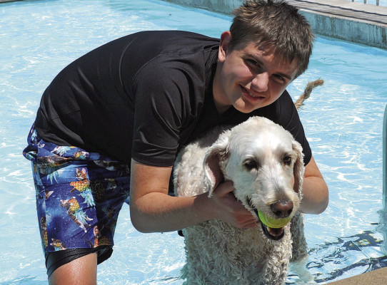 Dog days of summer