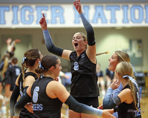 Volleyball teams hit the hardwood