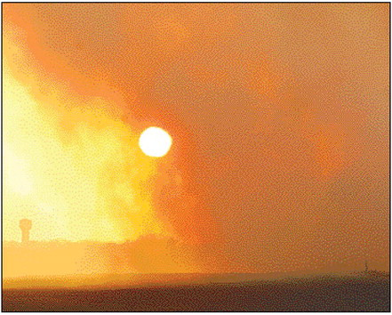 Grass fire