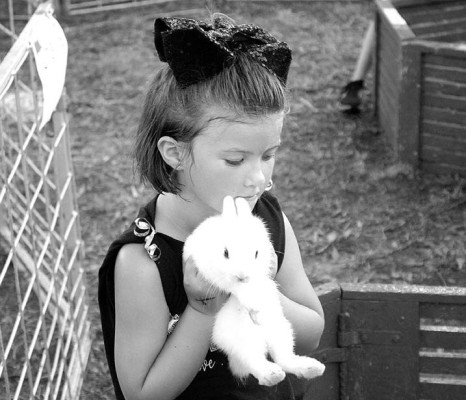 The petting zoo is one of many activities for children at the Sedgwick County Fair. File photo