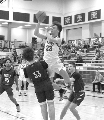 Lions keep league title hopes alive