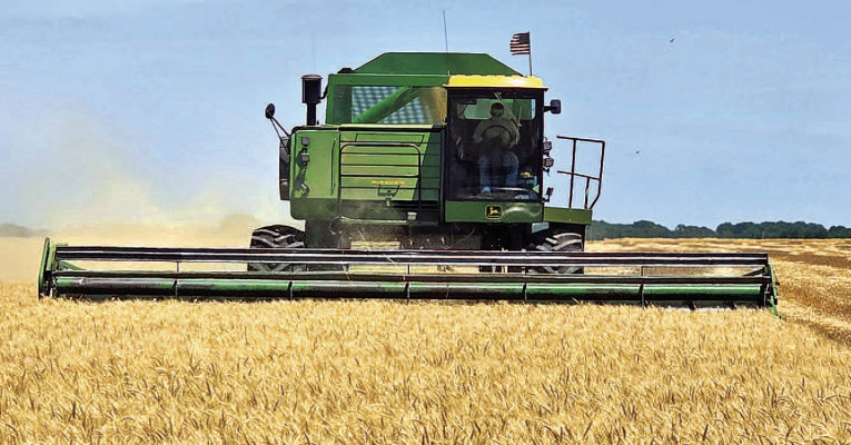 Carson Vineyard drives a combine near Argonia at Harper Farms, which belongs to Phil Harper and Trevor Pierce. The farm reported a good test weight of 63, but the harvest forecast statewide is less optimistic. Harvest is getting underway about two weeks earlier than normal. Contributed photo