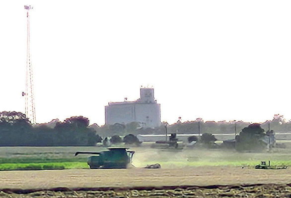 Max Wells cuts wheat recently with the Cheney grain elevator keeping watch in the background. Contributed photo/Janie Wells