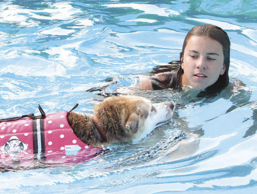 Autry Young helps her dog, Dottie, through the water at Sunday evening’s dog swim. Travis Mounts/TSnews