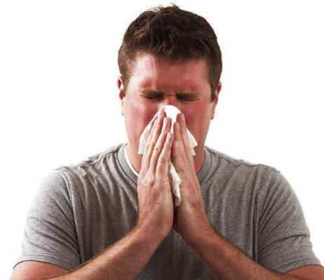 Wichita area again worst for allergies