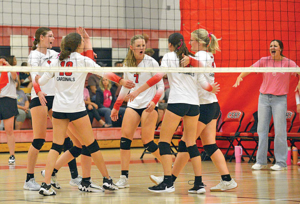 Volleyball