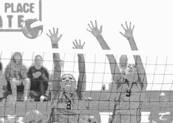 Volleyball: Cardinals repeat as Coleman Classic champs