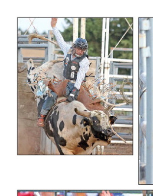 We saw you at the Sedgwick County Fair!