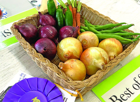 Kennedy Waugh of Quail Valley 4-H Club won grand champion for her vegetable assortment at the Sedgwick County Fair. She is 10 years old. Brianna Barnes/TSnews