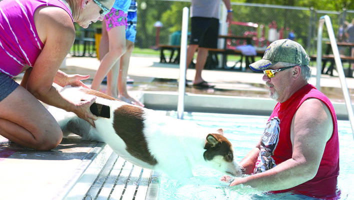 Dog days of summer