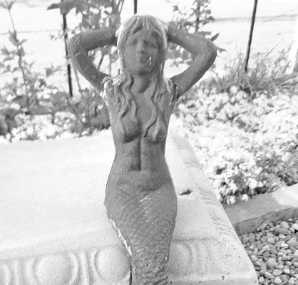 This mermaid, the largest of three acquired recently at an estate sale, was at the center of a recent argument over size. Paul Rhodes/TSnews