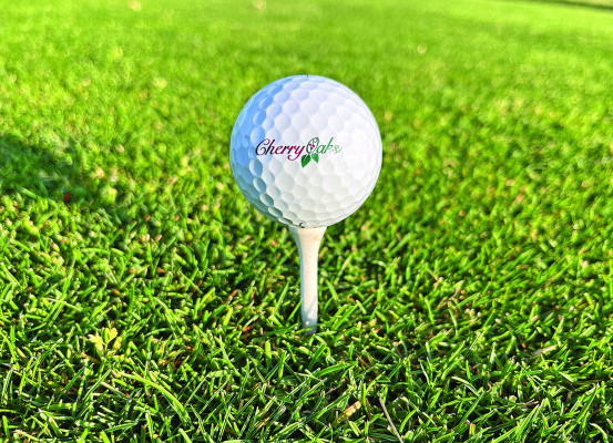 Cherry Oaks Golf Course had a record year in 2024, hitting new highs in rounds played and in revenue. The municipal golf course opened in 1994 with nine holes, and expanded to 18 holes in 2005. Contributed photo/Cherry Oaks Golf Course