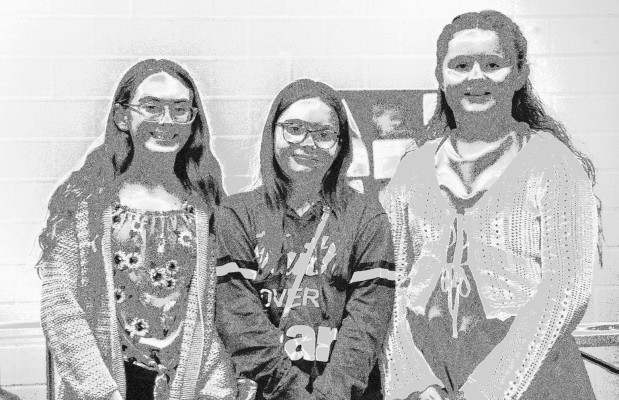 Sedgwick County poster winners named