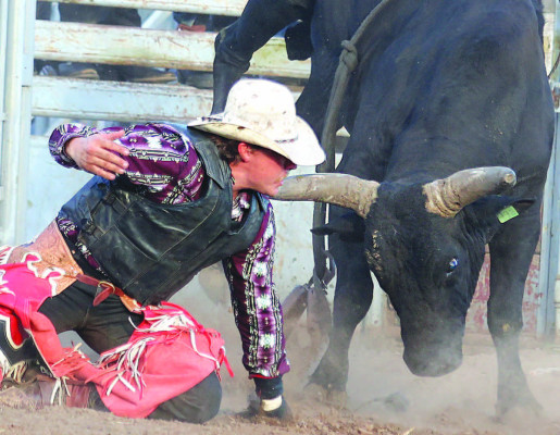 Bull jam delivers wild night