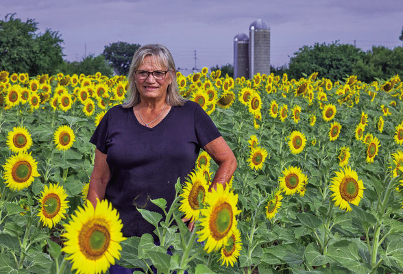 This Friday is the last opportunity for the public to see and photograph sunflowers at PBR Family Farms near Goddard. Pam Rogers planted more than 500,000 seeds in a 20-acre field just east of the farm, at 14707 W. Pawnee. It is free and open to the public 6-9 p.m. The heat is why the field will not be open after Friday. Visitors are invited to walk through the paths and take photographs. More information can be found on the PBR Family Farms Facebook page. Barney Tull/Contributed photo
