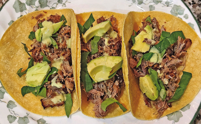 Pork carnitas can be made in a pressure cooker and yield flavorful, delicious pulled pork that is especially delicious in a taco.