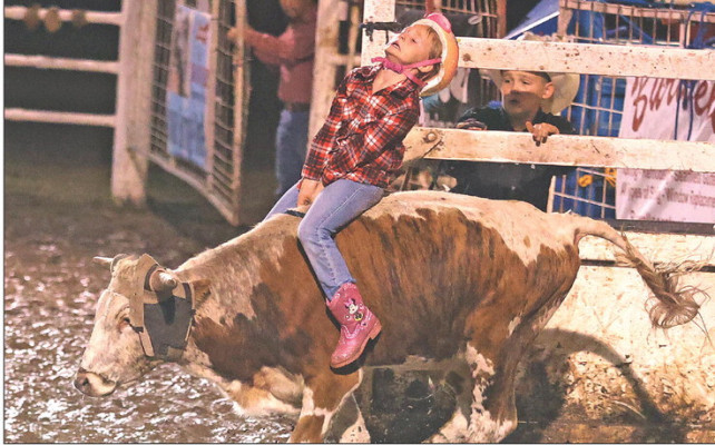 Scarlett Forest holds on tight during the steer riding event on Sunday evening, the final night of the Bronc Kraft Memorial Rodeo in Conway Springs. Stephanie McKennan/TSnews