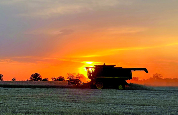 Marc Puetz cuts wheat just outside of Garden Plain on June 13, just before rains moved into the area. Local farmers have been cutting whenever they can, trying to work around rain storms and wet fields. Hot, windy conditions this week should help them finish the 2025 harvest. Contributed photo/Deb Fisher